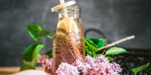 Beitragsbild des Blogbeitrags Die Königin der Düfte im Glas – Fliedersirup 