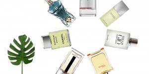 Beitragsbild des Blogbeitrags Das perfekte Herrenparfum für den Sommer
