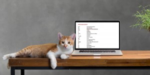 Beitragsbild des Blogbeitrags Wann Sie ein Abkürzungsverzeichnis brauchen und wann nicht