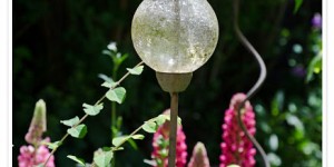 Beitragsbild des Blogbeitrags Gartenliebe und eine Gewinnerin 