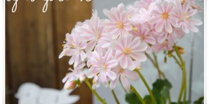 Beitragsbild des Blogbeitrags Endlich Sonnenschein