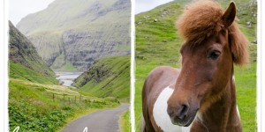 Beitragsbild des Blogbeitrags Urlaub auf den Färöer Inseln ~Teil 1~