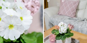 Beitragsbild des Blogbeitrags (Anzeige) DIY Pflanzenstecker und YULA Pflanzgefäße für den Valentinstag mit Verlosung 