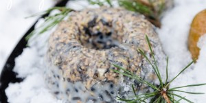 Beitragsbild des Blogbeitrags DIY Vogelfutter und Garten im Winter 
