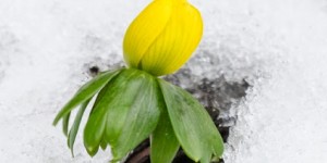 Beitragsbild des Blogbeitrags Gedanken zu mehr Sicherheit bei der Gartenarbeit mit idealclean.de und ein kleines DIY für die kommende Gartensaison