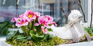 Beitragsbild des Blogbeitrags DIY Frühlingsdeko für die Fensterbank und den Hauseingang