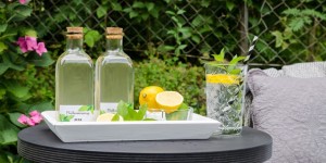 Beitragsbild des Blogbeitrags Rezept für Pfefferminzsirup 