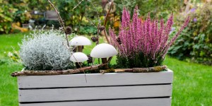 Beitragsbild des Blogbeitrags DIY Betonpilze für herbstliche & winterliche Blumenkästen auf der Fensterbank