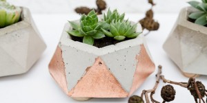 Beitragsbild des Blogbeitrags DIY Mini-Pflanztöpfe aus Beton mit Holzbeinchen für Sukkulenten