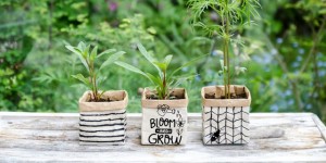 Beitragsbild des Blogbeitrags Upcyclingidee - Sommerblumenaussaat im Tetrapack