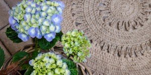 Beitragsbild des Blogbeitrags Mein neuer Gartensitzplatz mit selbstgehäkeltem Juteteppich