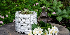 Beitragsbild des Blogbeitrags DIY Pflanzbehälter aus Mini-Gabionen