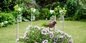 Beitragsbild des Blogbeitrags Dekorationsidee für eine Sommerparty - Schwebende Blumenvasen 