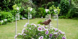 Beitragsbild des Blogbeitrags Dekorationsidee für eine Sommerparty - Schwebende Blumenvasen