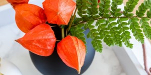 Beitragsbild des Blogbeitrags Hyggelig wohnen im Herbst - Schöne Dekoideen für die gemütliche Jahreszeit