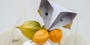 Beitragsbild des Blogbeitrags DIY Einfache Origami Füchse als bezaubernde Herbstdeko und Buchvorstellung 