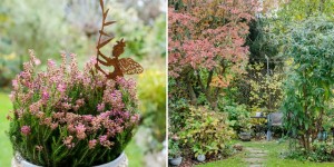 Beitragsbild des Blogbeitrags Garten und Terrasse im Spätherbst - Das Ende der Gartensaison 