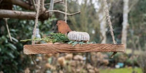 Beitragsbild des Blogbeitrags DIY Vogelfutter auf der Schaukel - das etwas andere Vogelhäuschen! 