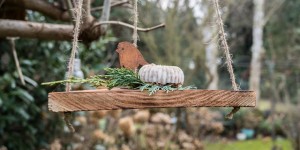 Beitragsbild des Blogbeitrags DIY Vogelfutter auf der Schaukel - das etwas andere Vogelhäuschen!
