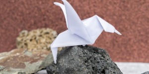 Beitragsbild des Blogbeitrags Origami haltbar machen mit Wachs + Flowerfriday