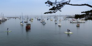 Beitragsbild des Blogbeitrags Things to do in Monterey in 2 days