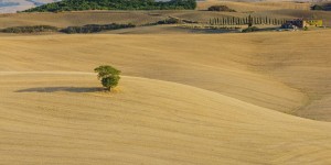 Beitragsbild des Blogbeitrags The most scenic drives in Tuscany 