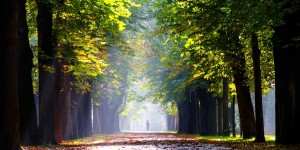 Beitragsbild des Blogbeitrags Travel bloggers share their favorite fall destinations