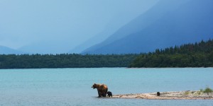 Beitragsbild des Blogbeitrags Alaska itinerary. An adventure you will never forget