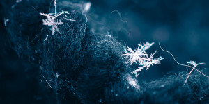 Beitragsbild des Blogbeitrags Schneeflocken fotografieren. So gelingts!