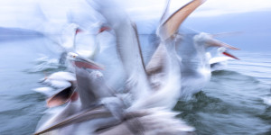Beitragsbild des Blogbeitrags Coole Effekte mit der Verschlusszeit erzielen