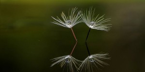 Beitragsbild des Blogbeitrags Erfolgreicher Wissenstransfer | Weiterbildungsprogramme mit Impact