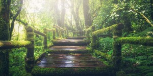 Beitragsbild des Blogbeitrags Recruiting | In 7 Schritten zur Candidate Journey