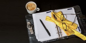 Beitragsbild des Blogbeitrags Time to say goodbye | Wenn sich Alphatiere zur Ruhe setzen 