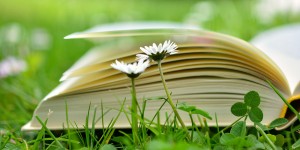 Beitragsbild des Blogbeitrags Die Berater-Zunft – am Arsch? | Gut durchdachte Buch-Titel