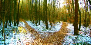 Beitragsbild des Blogbeitrags Wann Outplacement? Oft auch bei persönlichen Krisen und Ausnahmesituationen 
