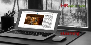 Beitragsbild des Blogbeitrags eLearning von der Stange oder maßgeschneidert?