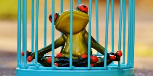 Beitragsbild des Blogbeitrags Innere Kündigung | Wenn der Arbeitsplatz zum Käfig wird