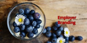 Beitragsbild des Blogbeitrags Employer Branding | Erfolgsgeheimnisse