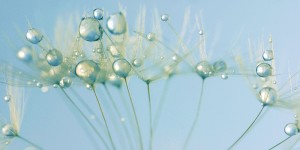 Beitragsbild des Blogbeitrags Wissensmanagement & Wissenstransfer | Storytelling im Unternehmen