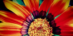 Beitragsbild des Blogbeitrags OKR-Methode | Eine neue Management-Wunderwaffe?