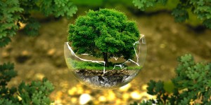 Beitragsbild des Blogbeitrags Mindful Leadership | Achtsame Führung in einem komplexen Umfeld