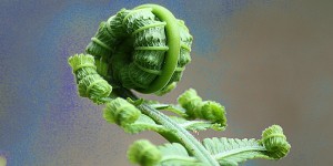 Beitragsbild des Blogbeitrags Cultur Change – die Königsdisziplin der Change Prozesse in 4 Phasen