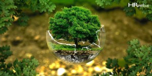 Beitragsbild des Blogbeitrags VUKA | Das richtige Mindset entscheidet