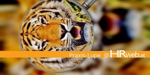 Beitragsbild des Blogbeitrags Praxis-Lupe | Mit Outplacement-Beratung in die Selbständigkeit