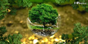 Beitragsbild des Blogbeitrags Do-it-yourself: Mindfulness | Experimentieren für Lebensverbesserer. Jetzt, live.