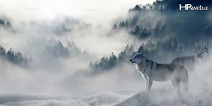 Beitragsbild des Blogbeitrags Change | Eine Frage der Haltung!