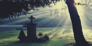 Beitragsbild des Blogbeitrags Killerphrasen-Friedhof: So geben Sie guten Ideen eine Chance 