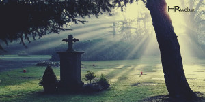 Beitragsbild des Blogbeitrags Killerphrasen-Friedhof: So geben Sie guten Ideen eine Chance