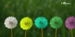 Beitragsbild des Blogbeitrags Shifting your Leadership Narrative