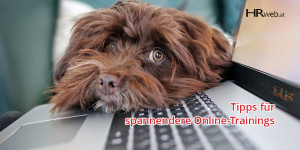 Beitragsbild des Blogbeitrags Mitmachtipps für wirksamere und spannendere Online-Meetings & -Seminare